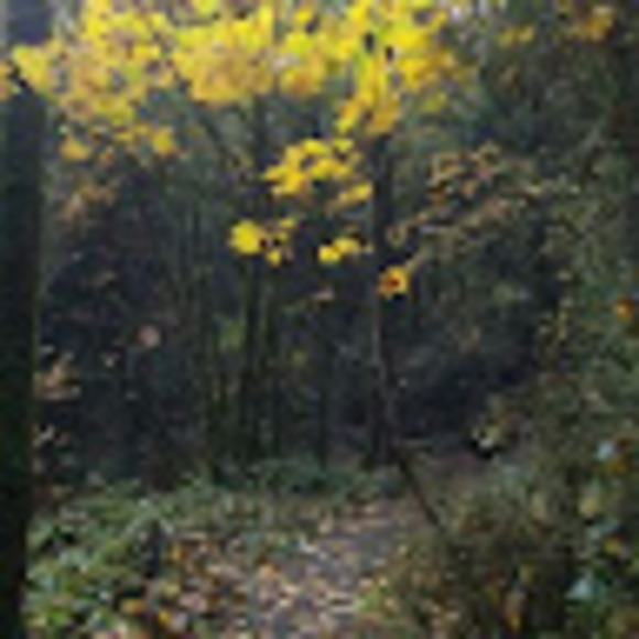 Meet your Posher, Janai - Picture 1 of 1